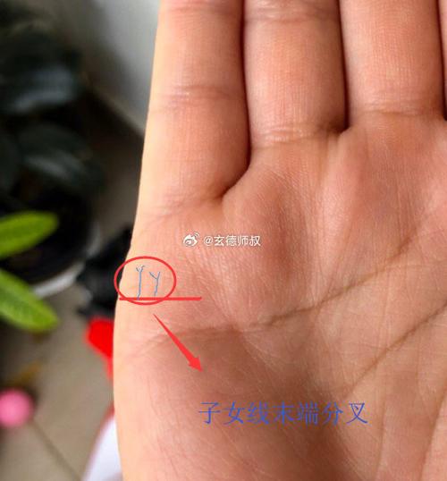子女运薄弱是什么意思