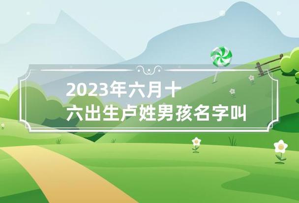 2023年六月十四出生卢姓男孩名字叫什么