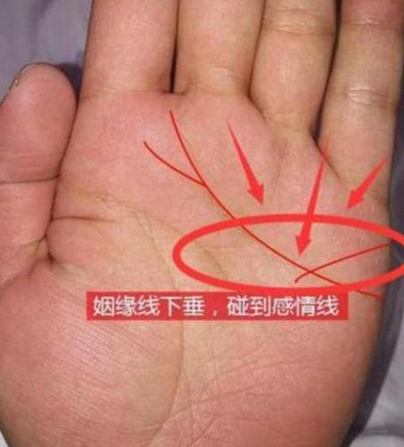 爱操心的手相女人