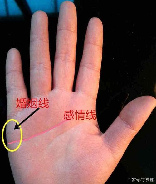 爱情线是哪一条线