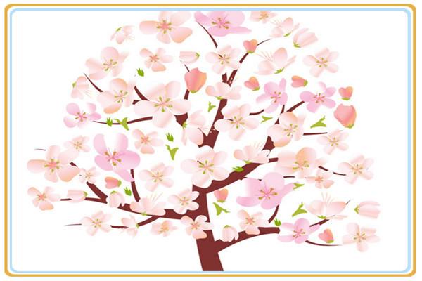 12生肖何时桃花朵朵开