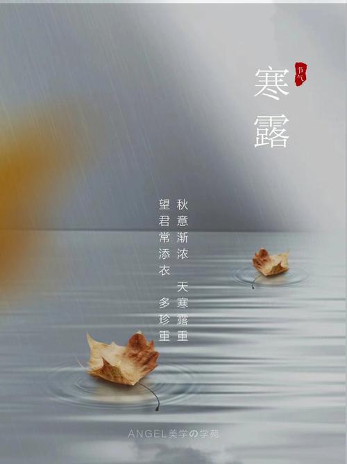 寒露结婚日好不