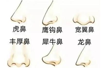 相学最有福气的7种鼻子,什么样的鼻子命不好