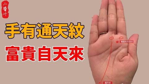 手上有通天纹财运好