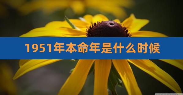 1951年是什么命 命运好不好