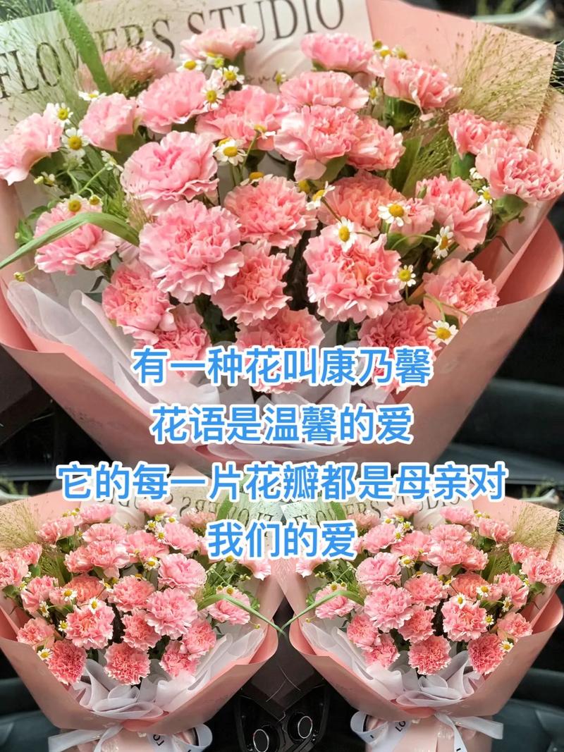 康乃馨花语，康乃馨的花语大全