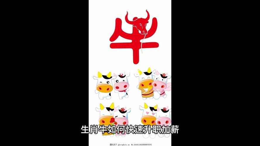 除了升职加薪 十二生肖还想干吗