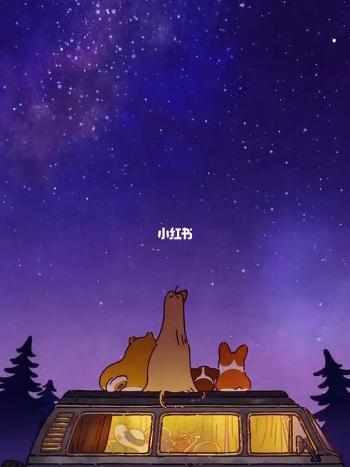 属狗人为什么喜欢看星星