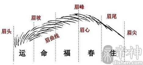眉毛的面相看出一个人的凶吉