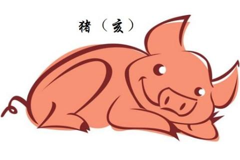 生肖猪生于不同月份的性格