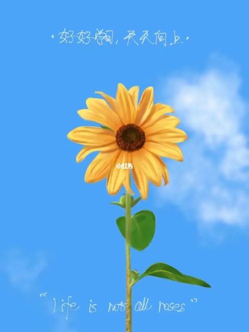 7月开始好运不流他人田地,工作顺利,出人头地3星座