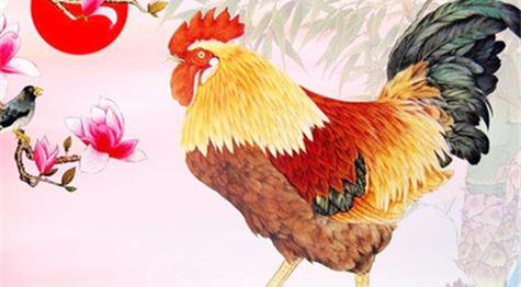 生肖鸡:1957年出生的属鸡人在2016年的运程