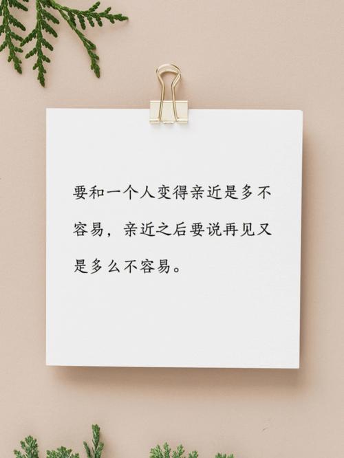 对亲近之人从不设防的生肖