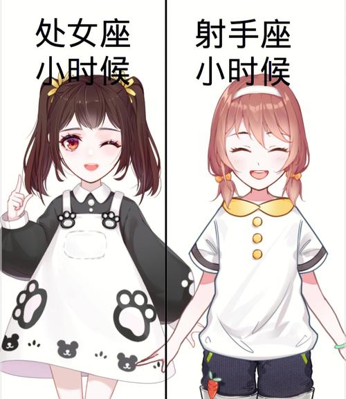 射手座处女座配对指数