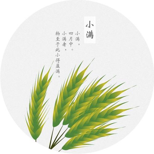 2020小满出生的宝宝五行属什么