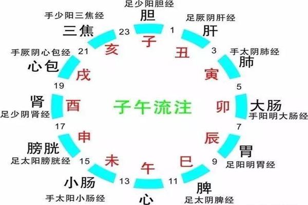 怎样根据自己的八字保健身体