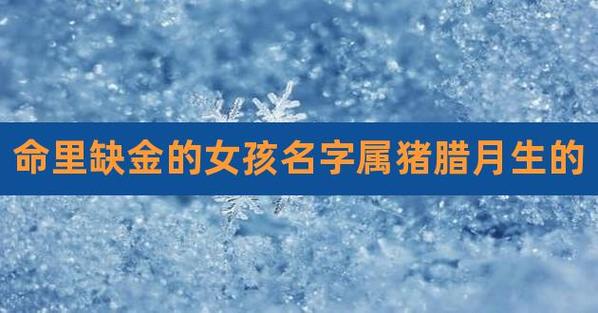 属猪缺金有什么名字好