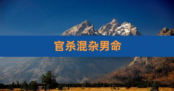 身弱官杀混杂贱命无疑