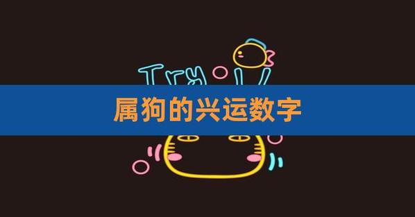 属狗的人幸运数字