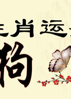 2017年属狗人爱情运势好吗?有何招桃花运风水妙招?