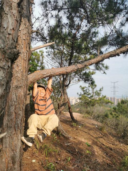 梦见爬山妈妈掉下去了,是什么征兆?