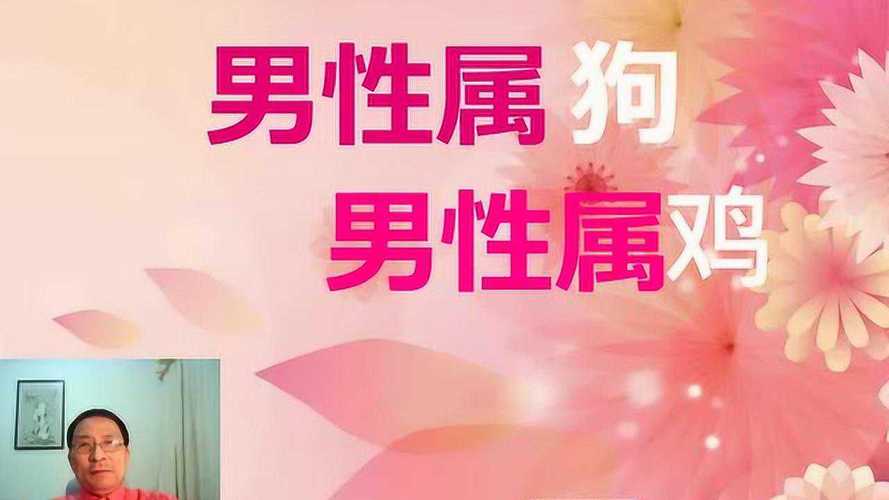 属狗对于同性恋的态度