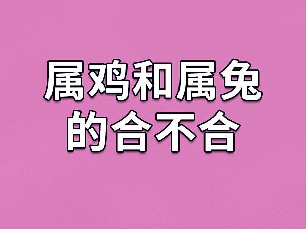 和对象吵架后 属鸡男生是怎么做的