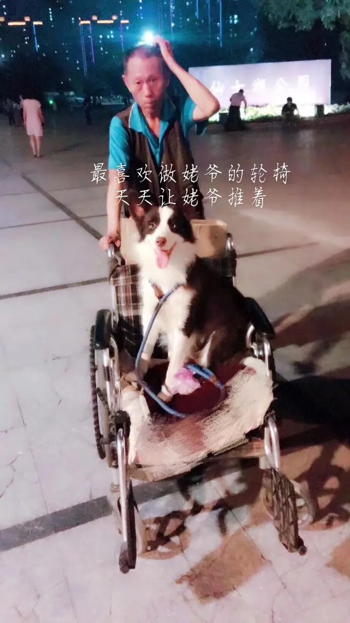 2016.6.1生肖运势