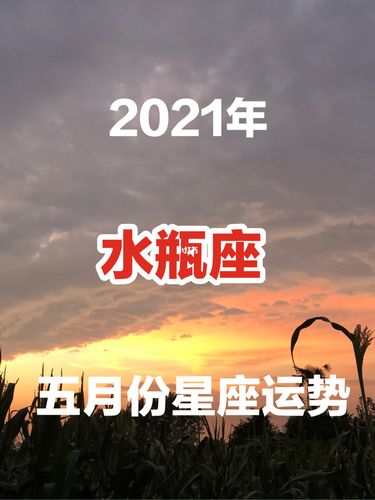 2021年5月水瓶座事业成功率高吗