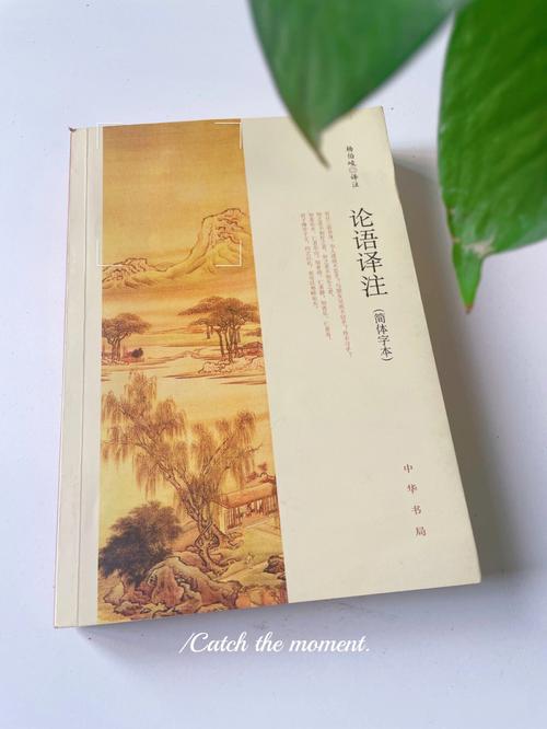 四海之内皆兄弟,最自来熟的星座排行