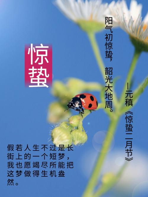 2020年3月5日惊蛰节气出生的女孩起名大全