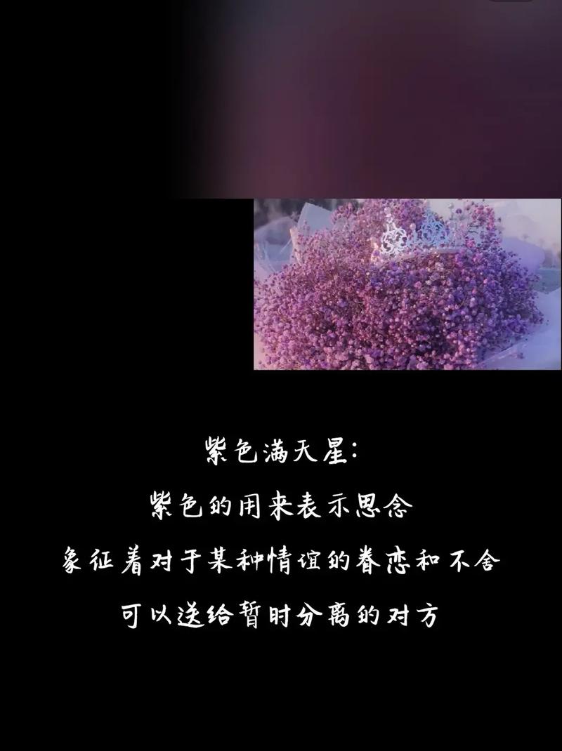 满天星:不是所有花都只能做配角。