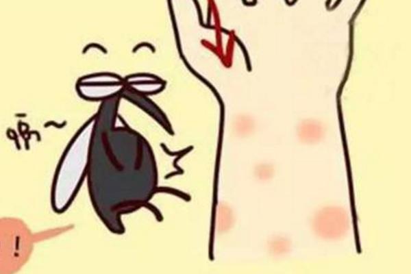梦见好多蚊子是什么意思