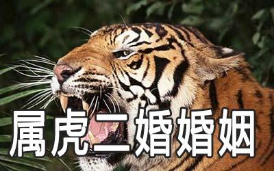 1986属虎人婚姻(婚姻非常幸福)