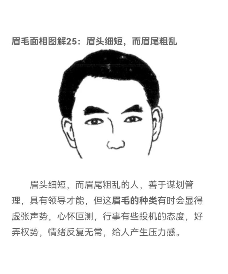 长着柳叶眉,性格谦逊温和的男人面相分析