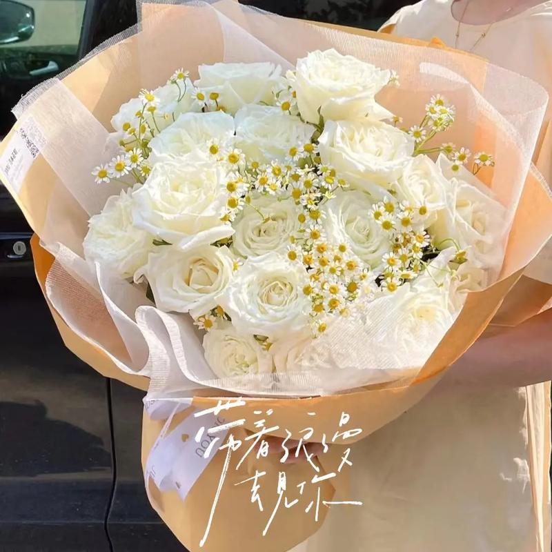 25朵白玫瑰的花语,