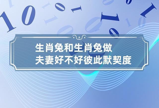 生肖兔和生肖兔做夫妻好不好