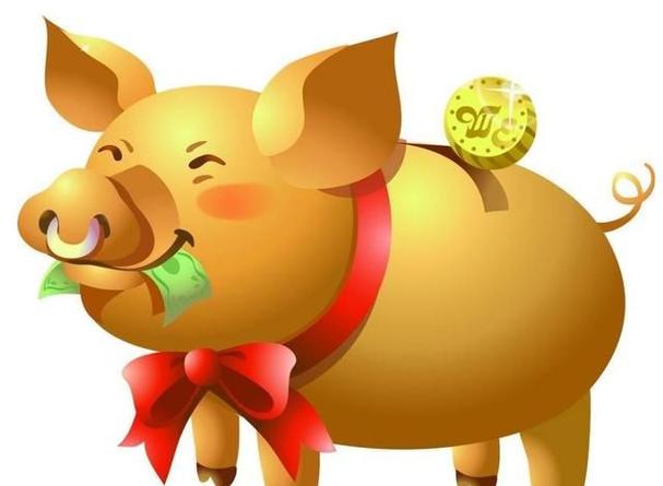 属相猪2023年5月能不能改运