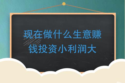 投资小利润高的小生意