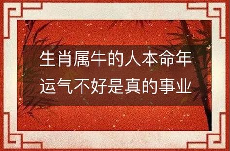属牛2021本命年事业不顺是真的吗