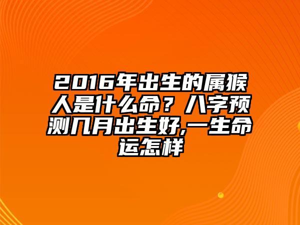 2016年7月出生的人命运好不好?命理怎么样?