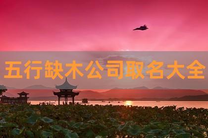 推荐五行水和木的公司名字