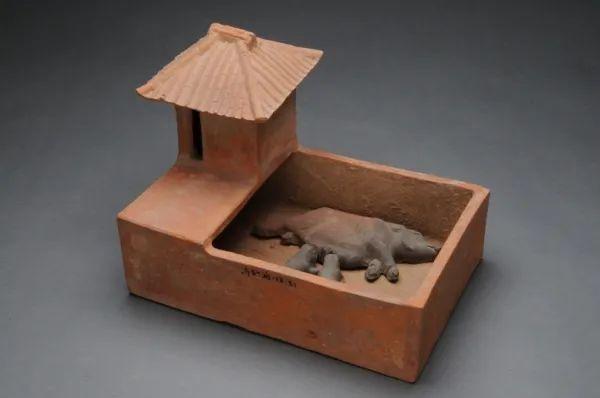 梦见猪圈里有粪