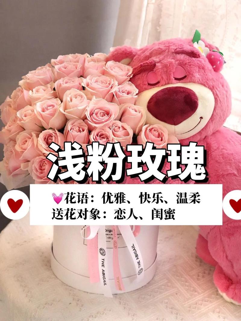 66朵白玫瑰花语是什么?