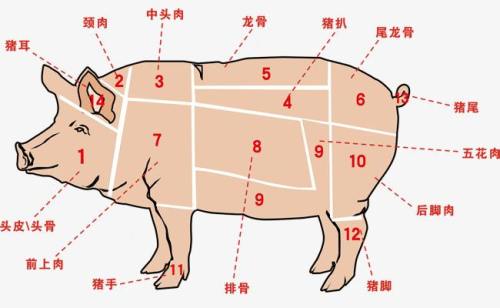 女生哪里长肉是富贵肉?