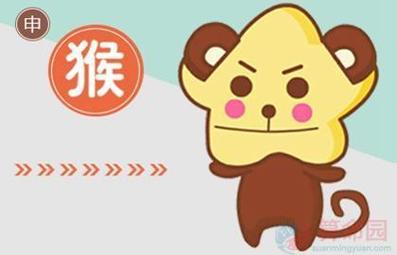 属猴人和谁在一起不会有烦恼和压力