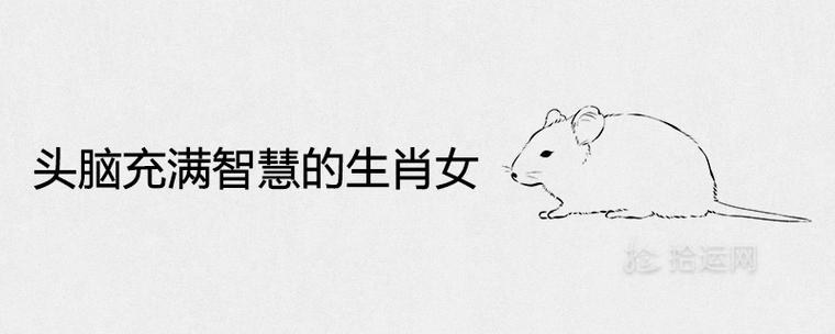 头脑充满智慧的生肖女