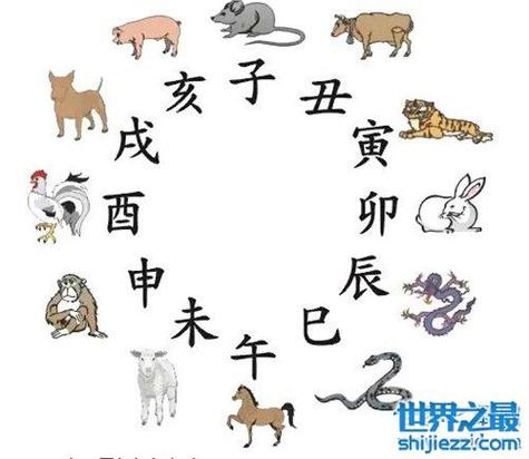 子鼠和午马子午相冲