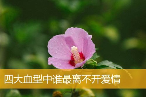 四大血型君谁最离不开爱情?