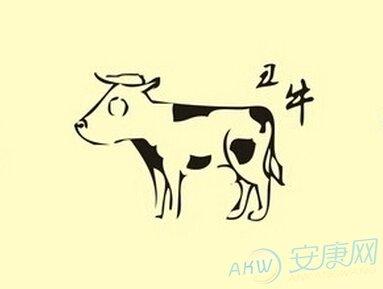 生肖牛会因为什么变得文艺